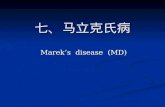 七、马立克氏病 Marek ’ s disease (MD) Marek ’ s disease (MD)