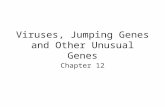 Viruses, Jumping Genes and Other Unusual Genes Chapter 12.