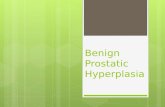 Benign Prostatic Hyperplasia. BPH  Benign increase in size of prostate  Hyperplasia of stromal and epithelial cells  Nodules.