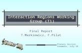 Interaction Regions Working Group (T1) Final Report T.Markiewicz, F.Pilat Plenary Session Snowmass, July 19.