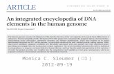 Monica C. Sleumer ( 苏漠 ) 2012-09-19. Human Genome 3,101,804,739 base pairs 22 chromosomes plus X and Y 21,224 protein-coding genes 15,952 ncRNA genes.