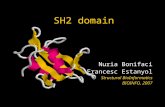 SH2 domain Nuria Bonifaci Francesc Estanyol Structural BioInformatics BIOINFO, 2007.
