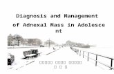 Diagnosis and Management of Adnexal Mass in Adolescent 인제대학교 의과대학 부산백병원 정 대 훈.