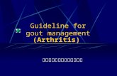 Guideline for gout management 高雄長庚醫院風濕過敏免疫科 (Arthritis)