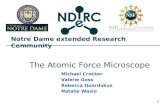 Notre Dame extended Research Community 1 The Atomic Force Microscope Michael Crocker Valerie Goss Rebecca Quardokus Natalie Wasio.