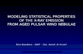 MODELING STATISTICAL PROPERTIES OF THE X-RAY EMISSION FROM AGED PULSAR WIND NEBULAE Rino Bandiera – INAF – Oss. Astrof. di Arcetri The Fast and the Furious,