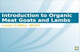 Introduction to Organic Meat Goats and Lambs Linda Coffey, NCAT.
