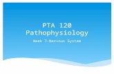 PTA 120 Pathophysiology Week 7-Nervous System.  Discuss anatomic structures and physiologic processes related to the neurological system.  Discuss physical.