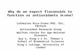 Why do we expect flavonoids to function as antioxidants in vivo? Catherine Rice-Evans PhD, DSc, FRCPath Antioxidant Research Group Wolfson Centre for Age-Related.