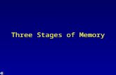 Three Stages of Memory. Stage Model of Memory Long-term memory Working or Short-term Memory Sensory Input Sensory Memory Attention Encoding Retrieval.