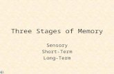 Three Stages of Memory Sensory Short-Term Long-Term.