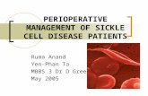 PERIOPERATIVE MANAGEMENT OF SICKLE CELL DISEASE PATIENTS Ruma Anand Yen-Phan Ta MBBS 3 Dr D Green May 2005.