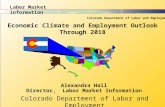 Labor Market Information Colorado Department of Labor and Employment Economic Climate and Employment Outlook Through 2018 Alexandra Hall Director, Labor.