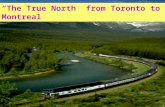 “The True North” from Toronto to Montreal. Teaching aims ： Target language( 知识目标 ) ： Get to know more cities about Canada. Ability goals ( 能力目标 ) : (1)