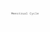Menstrual Cycle. Understand the functions of: Endometrium Follicle vs. Corpus Luteum.