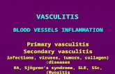 VASCULITIS BLOOD VESSELS INFLAMMATION Primary vasculitis Secondary vasculitis (infections, viruses, tumors, collagen diseases: RA, Sjögren’s syndrome,