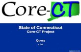 State of Connecticut Core-CT Project Query 4 hrs Updated 1/21/2011.