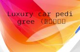 Luxury car pedigree （名车谱系）. 劳斯莱斯（ Rolls-Royce ） Rolls-Royce (Rolls-Royce) is the most luxurious car manufacturers in the world, founded in 1906 in England,