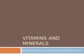 VITAMINS AND MINERALS By Andrew Head, Georgia Southern Dietetic Intern.