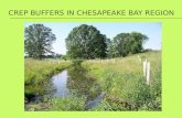 Riparian Buffers  24,884 Acres  3,859 contracts  6.5 acre average per contract.