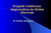 Öregedő mellékvese diagnosztikus és klinikai dilemmák Dr Valkusz Zsuzsanna.