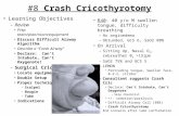 #8 Crash Cricothyrotomy Learning Objectives – Review Prep team/plan/room/equipment Discuss Difficult Airway Algorithm Describe a “Crash Airway” Declare:
