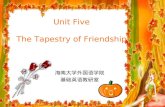 Unit Five The Tapestry of Friendship 海南大学外国语学院 基础英语教研室.