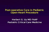 Post-operative Care in Pediatric Open-Heart Procedure Herbert G. Uy MD FAAP Pediatric Critical Care Medicine.