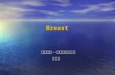 Breast 高雄榮總一般外科主治醫師葉名焮. Definition The word “breast” refers to the mammary glands, plus the additional connective tissue elements and fat that surround.