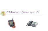 IP Telephony (Voice over IP). IP Telephony 2 Instructor Quincy Wu ( 吳坤熹 ), solomon@voip.edu.twsolomon@voip.edu.tw Textbook “ Carrier Grade Voice over.