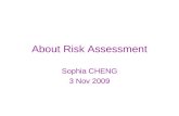 About Risk Assessment Sophia CHENG 3 Nov 2009. Discussion on Risk Assessment.