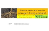 How close are we to nitrogen-fixing cereals? Myriam Charpentier and Giles Oldroyd (2010) 組員 : 彭元慶、林柏齡、郭宇翔、陳傑君.