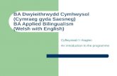 BA Dwyieithrwydd Cymhwysol (Cymraeg gyda Saesneg) BA Applied Bilingualism (Welsh with English) Cyflwyniad i’r rhaglen An introduction to the programme.