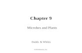 ©2010 Elsevier, Inc. Chapter 9 Microbes and Plants Dodds & Whiles.