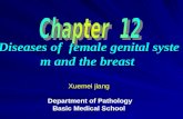 Diseases of female genital system and the breast Diseases of female genital system and the breast Xuemei jiang Department of Pathology Basic Medical School.