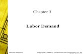 Chapter 3 Labor Demand Copyright © 2010 by The McGraw-Hill Companies, Inc. All rights reserved. McGraw-Hill/Irwin.