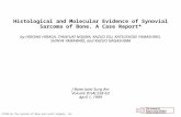 Histological and Molecular Evidence of Synovial Sarcoma of Bone. A Case Report* by HIROAKI HIRAGA, TAKAYUKI NOJIMA, KAZUO ISU, KATSUSHIGE YAMASHIRO, SHINYA.