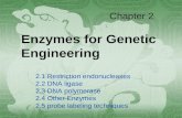 Chapter 2 Enzymes for Genetic Engineering 2.1 Restriction endonucleases 2.2 DNA ligase 2.3 DNA polymerase 2.4 Other Enzymes 2.5 probe labeling techniques.