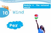 Oxford English Module 4 The natural world Wind Period 1.