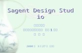 Sagent Design Studio 컴퓨터학과 데이터베이스연구실 석사 1 학기 홍 은 주 2000 년 3 월 27 일 월요일.