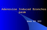 Adenosine Induced Bronchospasm Anes R3 鄭淳心. Case report: 病歷號 : 4129285 姓名 : 張德 X 身高 : 169.5cm 體重 : 60 Kgw 年齡 : 62 y/o 性別 : M 科別 : SURG-chest.