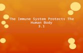The Immune System Protects The Human Body 3.1. Four Ways to Transmit Infectious Diseases  Direct Contact – shaking hands, sharing a drinking container.
