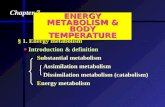 Chapter 7 ENERGY METABOLISM & BODY TEMPERATURE § 1. Energy metabolism  Introduction & definition  Introduction & definition Substantial metabolism Substantial.