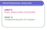 UNIT3 FUEL INJECTION SYSTEMS TEXT C Troubleshooting the EFI System PROFESSIONAL ENGLISH.