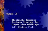 Week 2: Electronic Commerce Business Strategy for Competitive Advantage V.F. Kleist, Ph.D.