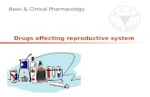 Drugs affecting reproductive system Basic & Clinical Pharmacology.