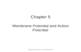 Chapter 5 Membrane Potential and Action Potential Copyright © 2014 Elsevier Inc. All rights reserved.