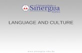 LANGUAGE AND CULTURE. Culture – the concept more or less synonymous with civilization (opposed to “barbarism”); classical conception of culture (art,