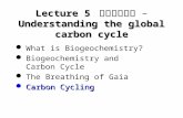 Lecture 5 碳的前世今生 Understanding the global carbon cycle Lecture 5 碳的前世今生 – Understanding the global carbon cycle What is Biogeochemistry? Biogeochemistry.