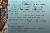 Causes and Effects of World War I Adapted from Tan Jon Lin (with her permission )